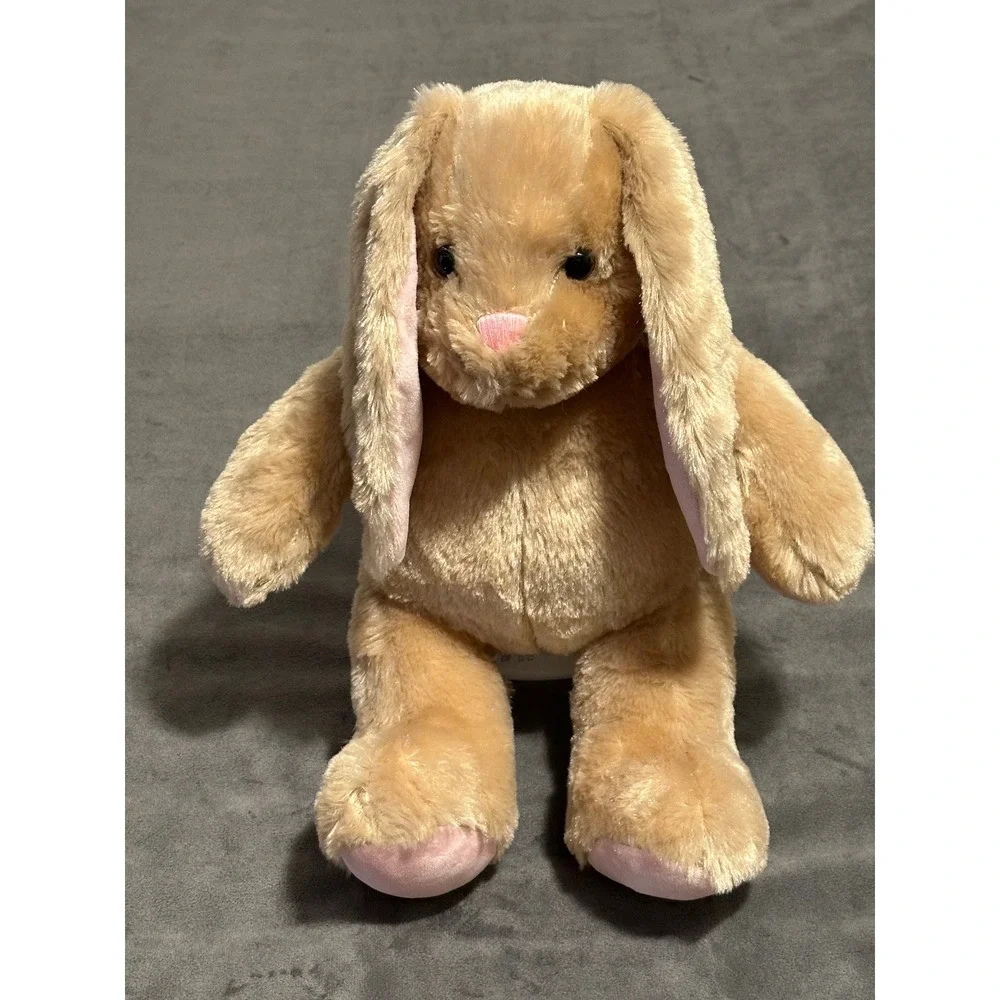 Build-A-Bear Workshop Pawlette Bunny Plush Pink Floppy Ear Rabbit Stuffed Toy